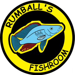 rumballsfishroom